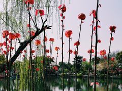 -无锡蠡湖国家湿地公园-蠡园