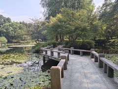 -杭州植物园