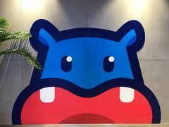 -盒马鲜生(大成店)