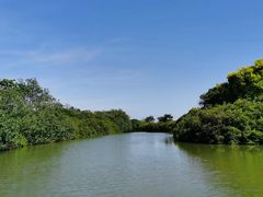 -大湾区中央湿地公园