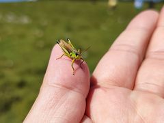 -芦芽山旅游度假区