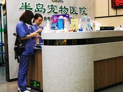-半岛宠物医院24小时(科华中路店)