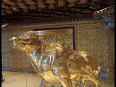 -华西龙希大酒店旅游观光区