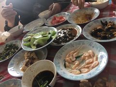 -南汇水蜜桃采摘(大团店)