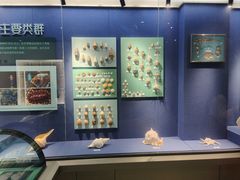 -大连自然博物馆