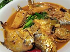 -鸽子窝(青塔店)