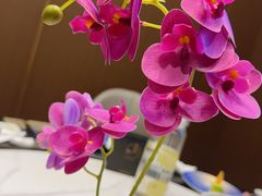 -酒蜻蜓·庭院私房菜(天元东路店)
