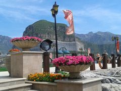 -天鹅湖生态旅游风景区