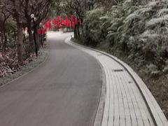 -云溪植物园