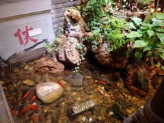-蜀大侠火锅(四川北路店)