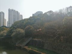 -华雅花园大酒店