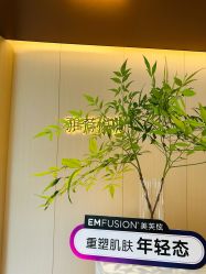 -雅荷悦来双美