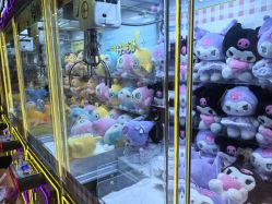 -卡通尼·Safari非洲探索乐园·生日会(金桥国际商业广场店)