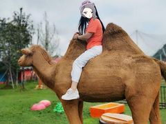 -云漫湖生态度假公园