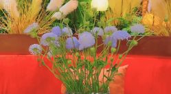 -花隐·美芙炫海菲秀皮肤管理中心