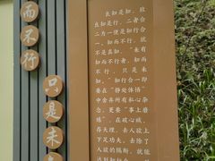 -江西阳明山国家森林公园