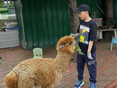 -菊园百果园