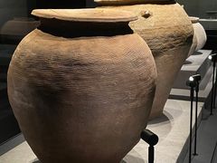 -广西壮族自治区博物馆