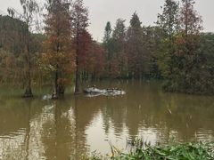 -海珠湖公园