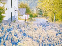 -萍乡武功山风景名胜区