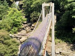 -黎坪国家森林公园