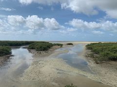 -北海金海湾红树林生态旅游区