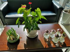 -龙大花卉苗木市场