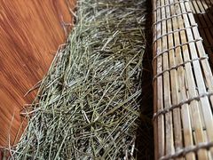 -黄瓜箐温泉疗养院