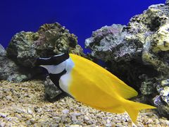 -洛阳龙门海洋馆