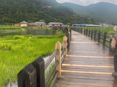 -泸沽湖国家级风景名胜区走婚桥