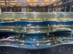 -四海蒸鲜蒸汽海鲜自助(北戴河店)