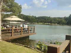 -新洲生态园