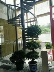 -一花一叶瑜伽生活馆