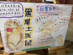 -正佳雨林生态植物园