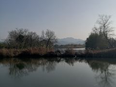 -西溪国家湿地公园