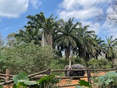 -海南热带野生动植物园