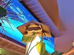 -桂满陇·蟹黄小笼汤包(清河万象店)