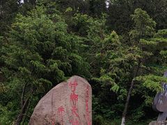-江南天池