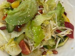 大拌菜-玉林烤鸭店(定福庄店)