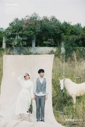 -巴黎婚纱摄影工作室