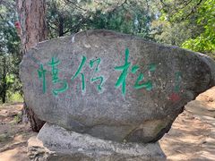 -北京鹫峰国家森林公园