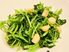 -上海小南国(不夜城店)