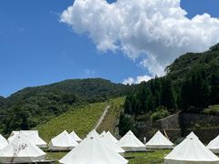 -大围山国家森林公园