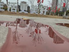 -番禺广场(市桥街道)