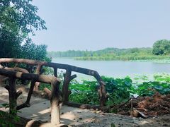 -东湖落雁景区