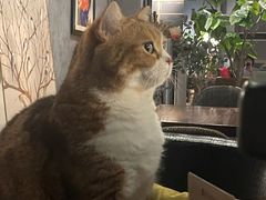 -咖法森林·咖啡  酒吧(天河店)