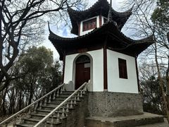 -上海佘山国家森林公园天马山园