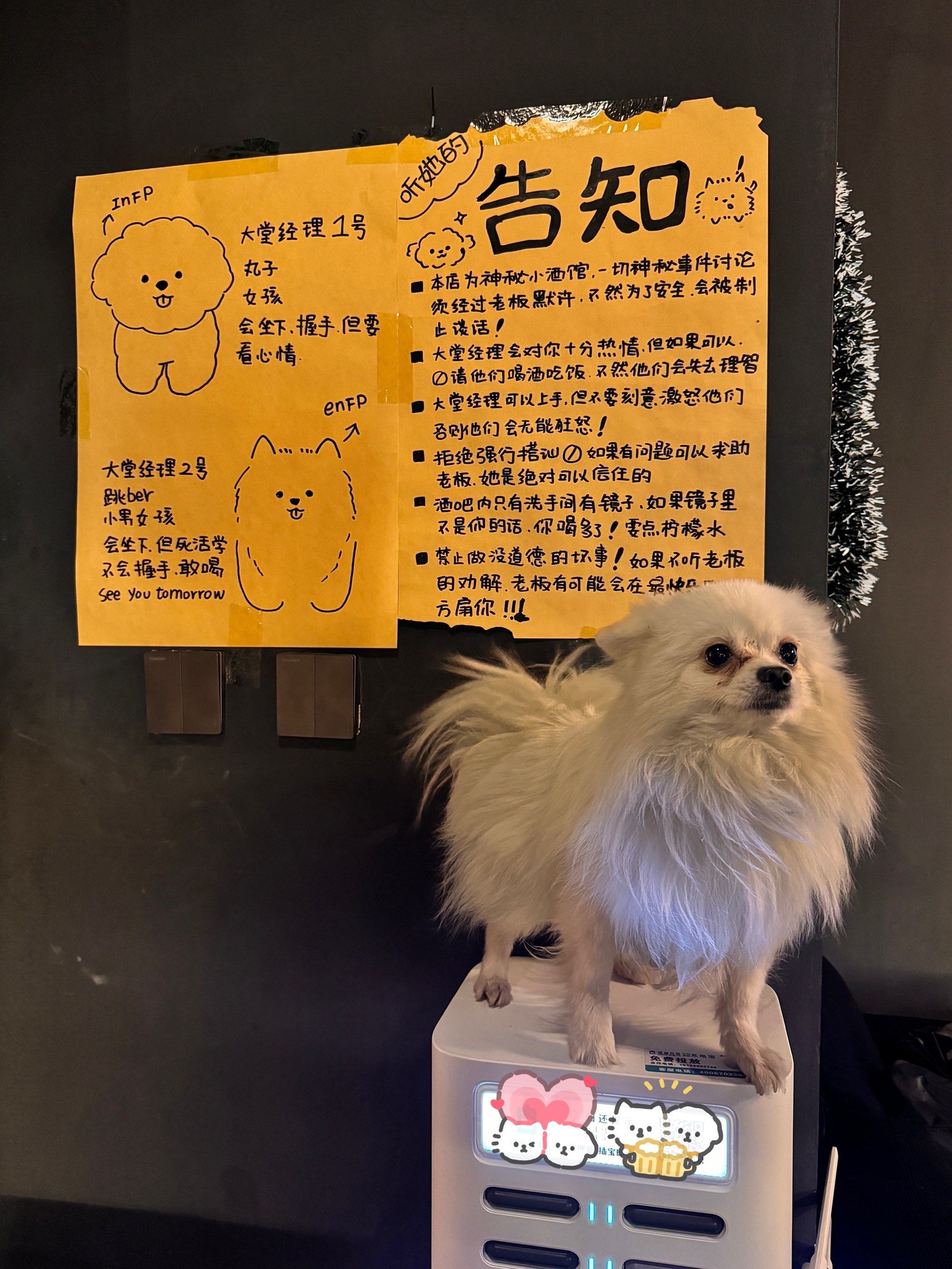 关于宠物超度款怎么写的信息