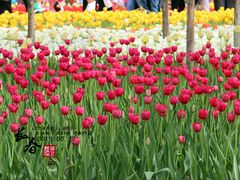 -长春公园(普阳街道)