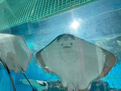 -福州罗源湾海洋世界旅游区